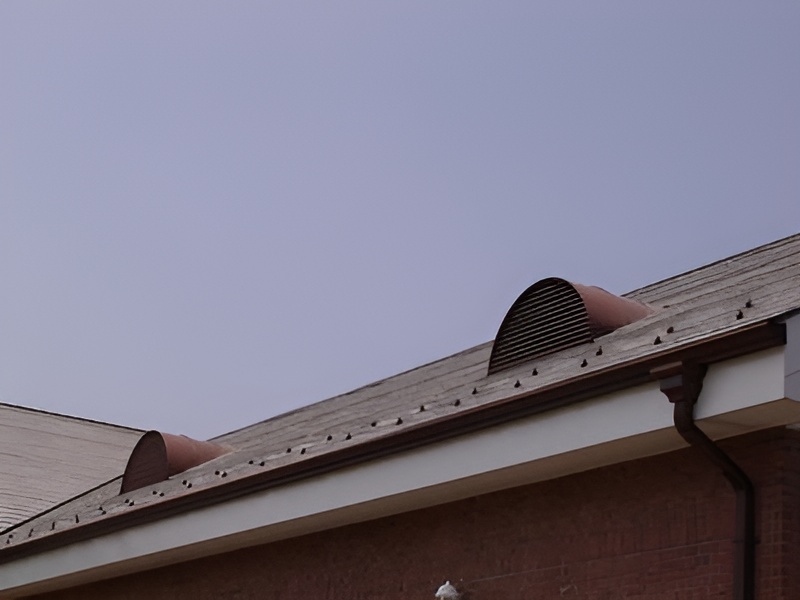 Two copper eyebrows installed on a roof of a home.